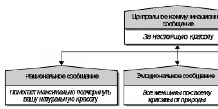 Разработка коммуникационной стратегии бренда в российском цифровом пространстве (на примере бренда Snickers)